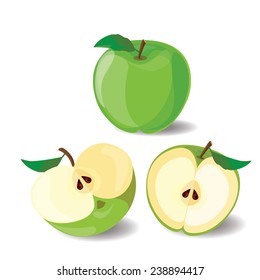 Apple vector illustration on white 2