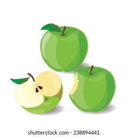 Apple vector illustration on white 1