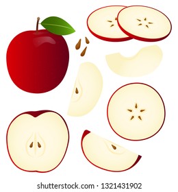 Apple vector illustration set. Whole, sliced and halved Apple graphics.