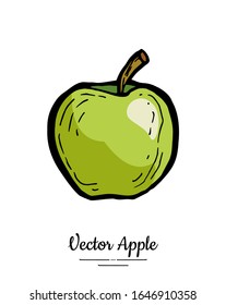 Apple vector isolated. Green fruit hand drawn illustration. Trendy food vegetarian menu fruit logo icon. Whole apple. Sweet organic fruits illustration. Vector natural apple isolated white background