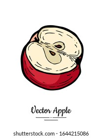 Apple vector isolated. Red fruit hand drawn illustration. Trendy food vegetarian menu fruit logo, icon. Half cut apple. Sweet organic fruit illustration. Vector natural apple isolated white background