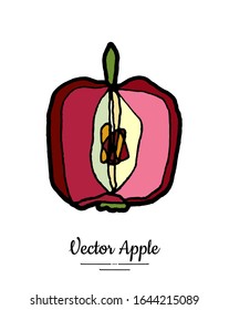 Apple vector isolated. Red fruit hand drawn illustration. Trendy food vegetarian menu, fruit logo, icon. Whole apple. Sweet organic fruits illustration. Vector natural apple isolated, white background
