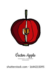 Apple vector isolated. Red fruit hand drawn illustration. Trendy food vegetarian menu, fruit logo, icon. Whole apple. Sweet organic fruits illustration. Vector natural apple isolated, white background