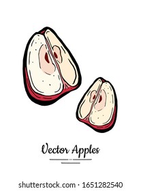 Apple vector isolated. Red fruit hand drawn illustration. Trendy food vegetarian fruit logo, icon. Quarters cut apple. Sweet organic fruit illustration. Vector natural apple isolated white background