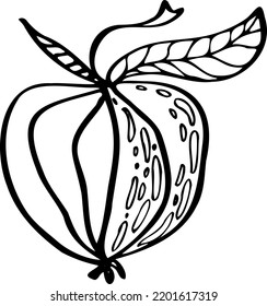 ilustración de esbozo aislado vectorial de manzana
