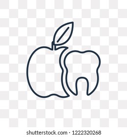 Apple vector outline icon isolated on transparent background, high quality linear Apple transparency concept can be used web and mobile
