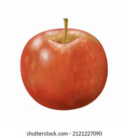 Apple. Vector. Realistic red apple.  Graphics. Hand drawing. White background. Multi-layered. Can be used in commercial web design. Goods, services, sales, agriculture.