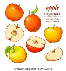 apple vector set