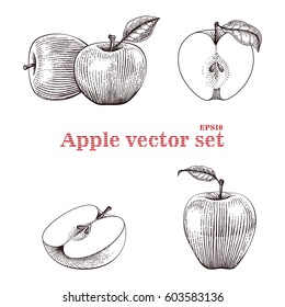 Apple vector set hand drawing