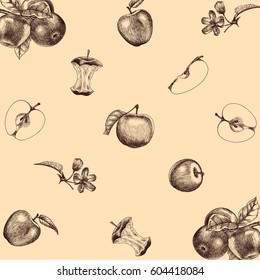 Apple vector set hand drawing background