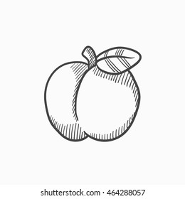 Apple vector sketch icon isolated on background. Hand drawn Apple icon. Apple sketch icon for infographic, website or app.