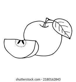 Apple. Ilustración de material vectorial eps10. Contorno, aislar sobre fondo blanco. Dibujado a mano.