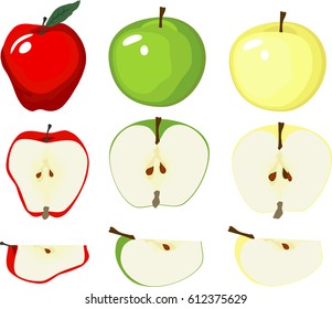 Apple vector variety of isolated red delicious, green granny, and yellow.