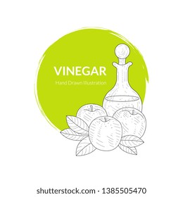 Apple Vinegar Banner or Card Template, Glass bottle and Fresh Apples, Condiment, Food Dressing Hand Drawn Vector Illustration