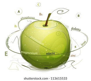 Apple vitamins and minerals illustration . Vector EPS10 informative illustration. Apple nutrition facts. Layered and grouped so you can easily remove the signs.