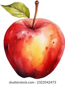  Apple Watercolor illustration. Hand drawn underwater element design. Artistic vector marine design element. Illustration for greeting cards, printing and other design projects.