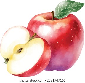 Apple watercolor illustration vector isolated on white background