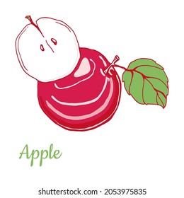 Apple. Fruta entera y rebanada. Ilustración compacta de color. Dibujo manual.Aislado sobre fondo blanco.Para envasado y etiquetas de los alimentos.