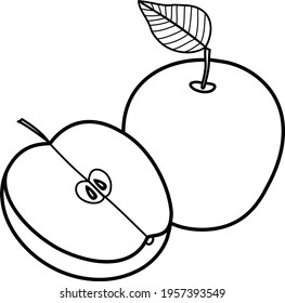 Apple is a whole and half .Vector graphics. Black contour. Ripe fruits for food. 