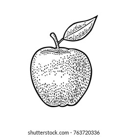 Apple whole with leaf. Vintage black engraving illustration for poster, web. Isolated on white background.