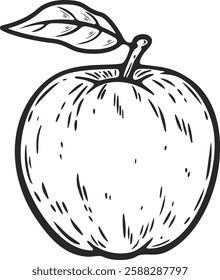 Apple whole one big round fruit organic food vegetarian snack engraving hand drawn illustration black white isolated vintage line art sketch silhouette graphic style poster label web