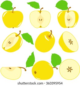 Apple. Yellow apples slices, collection of vector illustrations on a transparent background