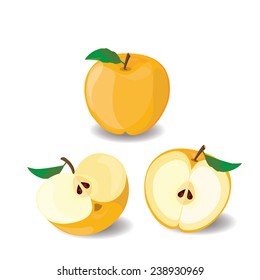 Apple yellow sweet vector 4