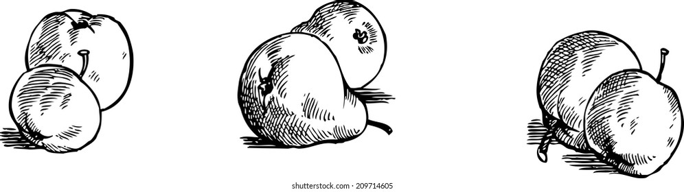 Pear drawing vector Images, Stock Photos & Vectors | Shutterstock