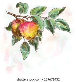 Apples background. Fruits paints card