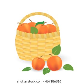 Apples in a basket on white background.