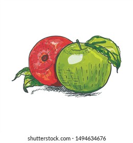 Apples in color on a white background. Vector apples
