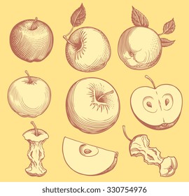Apples. Design set. Hand drawn engraving. Vector vintage illustration. 8 EPS