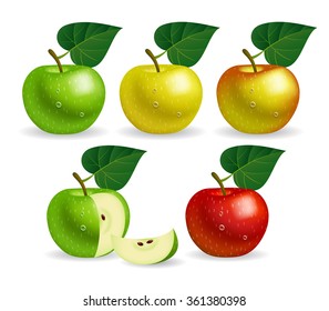 Apples of different colors. Vector illustration