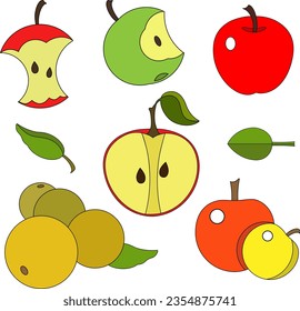 Apples in different stages, harvest