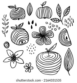 Apples doodle set, black and white clip art. Cute hand drawn ink fruit vector illustration collection with apple tree elements, flower, slice, seed, leaf, spot, dot, line, branches