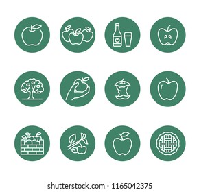 Apples flat line icons. Apple picking, autumn harvest festival, craft fruit cider illustrations. Thin signs for organic food store. Pixel perfect 48x48. Editable Strokes.