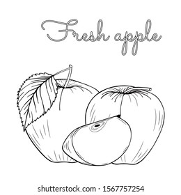 Apples fruit set. Whole apple, slice cut pieces, plant leaves. Hand-drawn graphics. Vector illustration isolated on white background. Coloring page book. Sketch image. Engraving style. Outline drawing