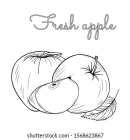 Apples fruit set. Whole apple, slice cut pieces, plant leaves. Hand-drawn graphics. Vector illustration isolated on white background. 