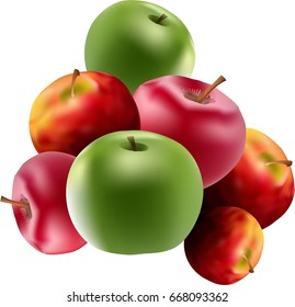 Apples fruits. Vector illustration.