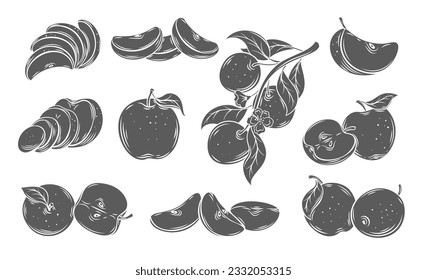 Apples glyph icons set vector illustration. Stamp of tree branch with flowers, leaf and hanging fruit, whole ripe fruit and apple cut into slices and wedges, quarters and circles, half part portion