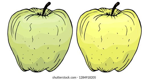 Apples golden. Hand drawn vector illustration. Isolated on white background.