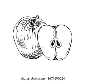 Manzanas con medio estilo de arte lineal.