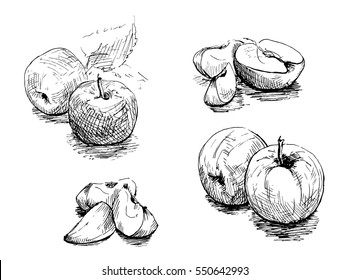The apples hand drawn. Graphics sketch 