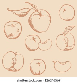 Apples: Hand drawn set
