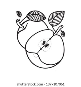 Apples hand drawn vector illustration  Apples and leaves outline graphic  Apples sketch drawing  Part set 