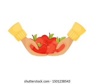 Apples in the hands. Vector illustration on a white background.
