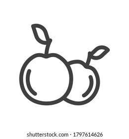 Apples icon. Simple, minimalistic line art on a clean backing. Isolated vector on white background.