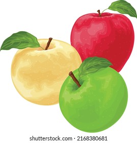 Apples. An image of apples of different colors. Red green and yellow apple. A collection of three apples. Vector illustration isolated on a white background