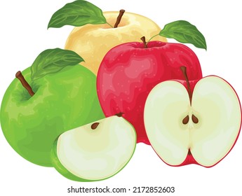 Apples. An image of apples of different colors. Red green and yellow apple. A collection of three apples. Vector illustration isolated on a white background
