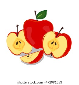 Apples isolated. Hand drawn vector fruits